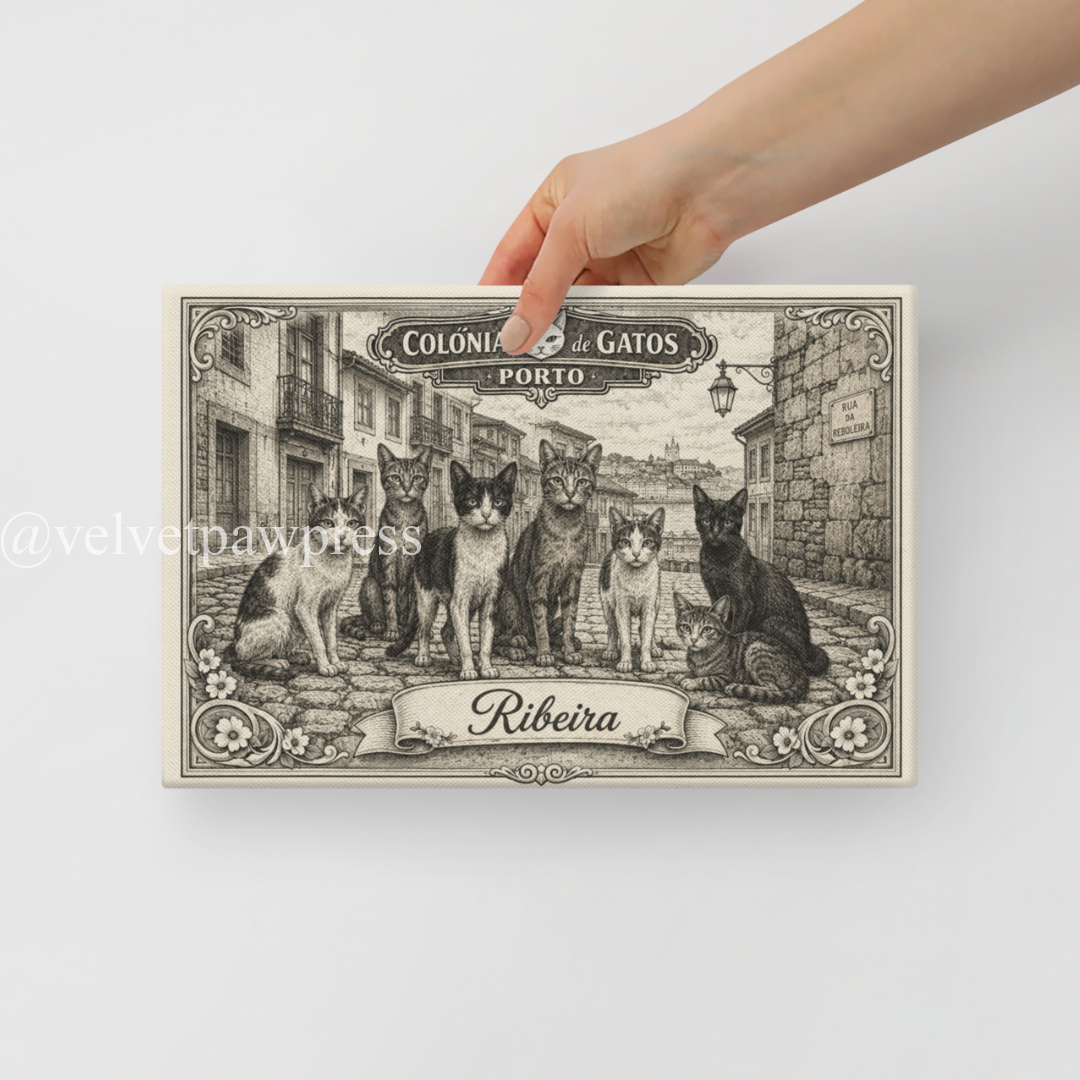 Ribeira Cat Colony Canvas Art 20.5x30.5 cm | Porto Riverside Gatos Wall Decor | Velvet Paw Press - Image 3